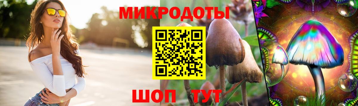 Псилоцибиновые грибы ЛСД Белогорск